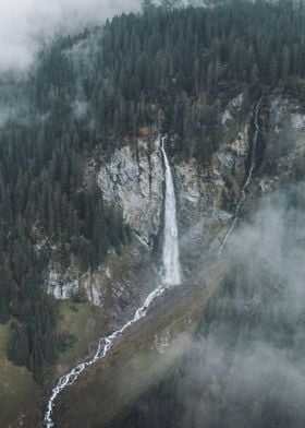 Waterfall Forest View