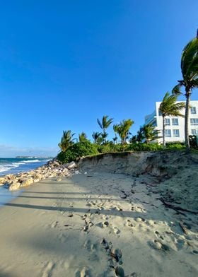 Sand Palm Tropical Beach