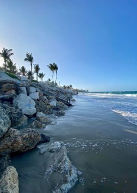 Sand Palm Tropical Beach