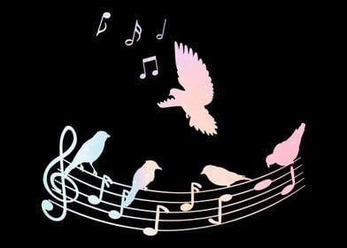 Musician Bird Nature