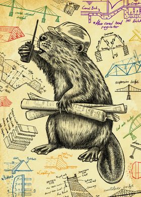 Beaver Civil Engineer