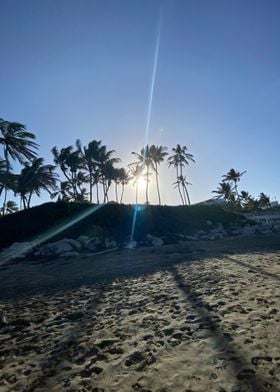 Sand Palm Tropical Beach