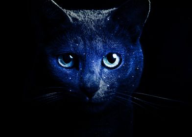 cat blue art