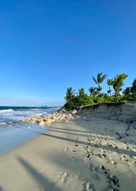 Sand Palm Tropical Beach