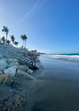 Sand Palm Tropical Beach