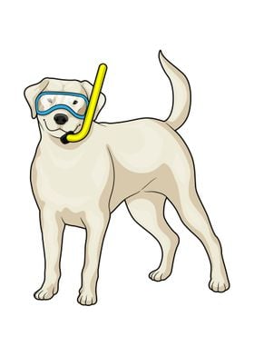 Retriever Diver Snorkel