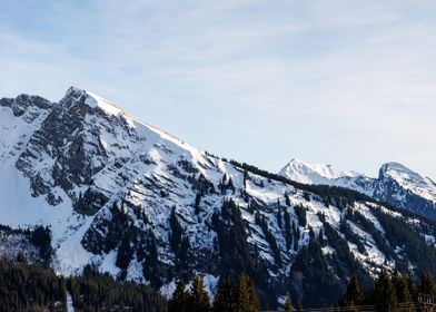 Snowy forest peak in Alps