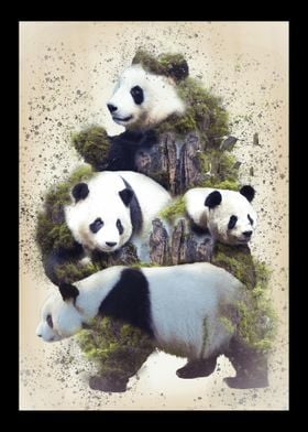 Fantasy Panda Nature