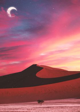 Desert and Sunset