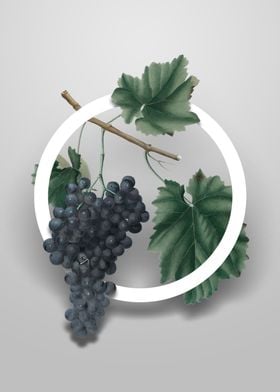 Lacrima Grapes Flower Art