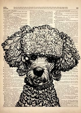 Poodle Dog illustration