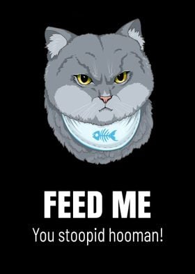 Hungry Cat with Angry Face