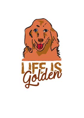 Life is Golden Retriever