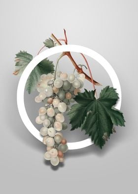 Muscat Grape Flower Circle