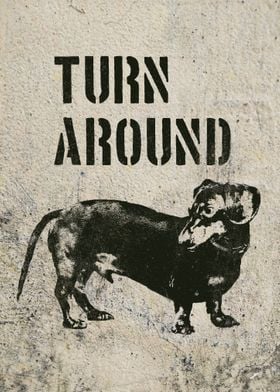 Dachshund Dog Turn Around