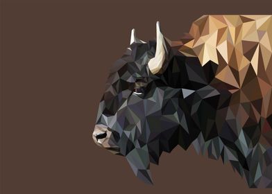 Bison