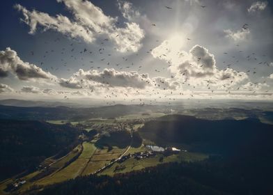 Beautiful Sky with Birds