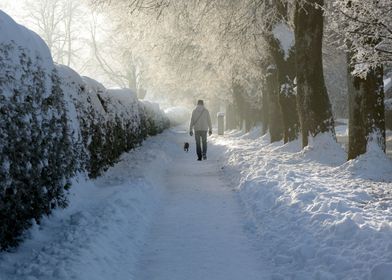 Winter Walk