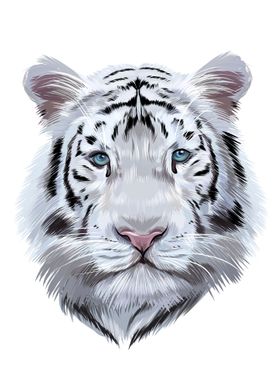 white bengal tiger