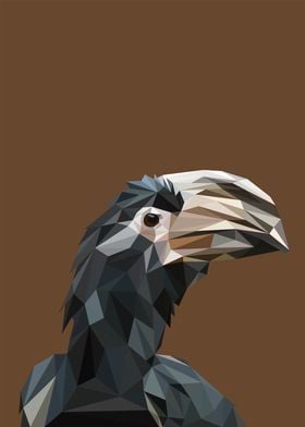 Hornbill