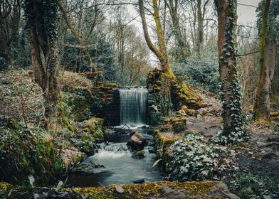 Old Forest Waterfall