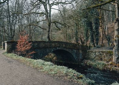 Old Forest Bridge