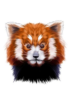 Small red panda