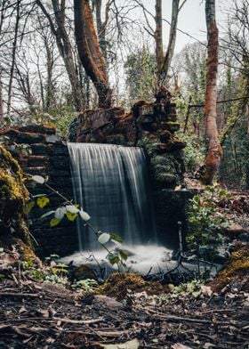 Waterfall in the Forest