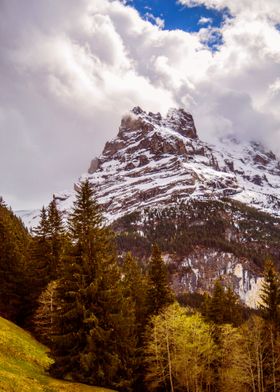 SNOW MOUNTAIN 