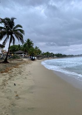 Sand Palm Tropical Beach