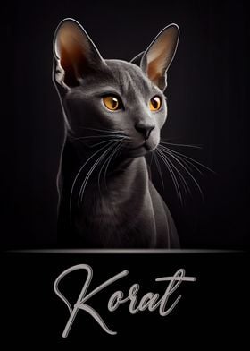 Elegant Korat