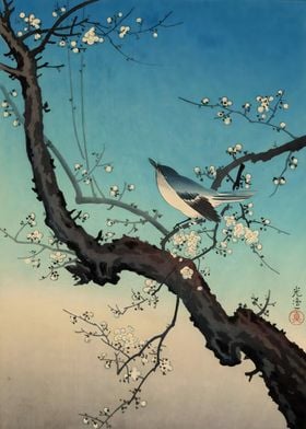 Bird and Plum Tree