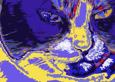 Cat in abstract colors