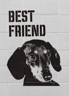 Dachshund Dog Best Friend