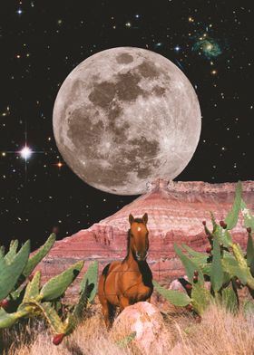 A Horse in Space