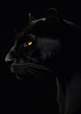 Stunning Black Panther Cat