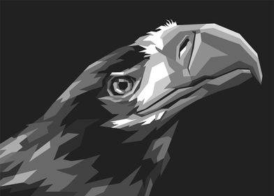 Head Eagle Gray