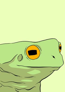 portrait frog