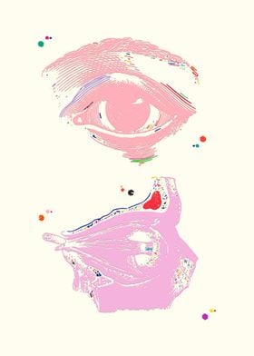 Eye anatomy 