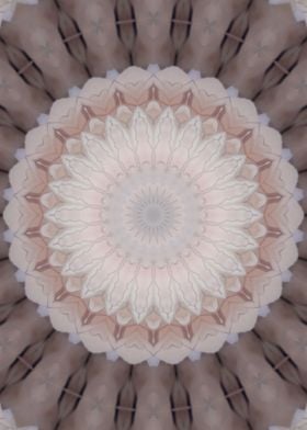 Pastel pink Kaleidosocpe 5