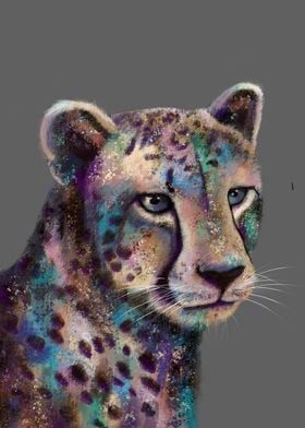 Cheetah in colour