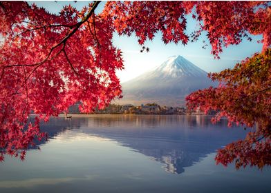 Mountain Fuji red leaves