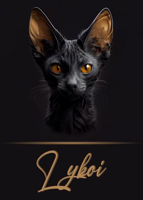 Adorable Lykoi