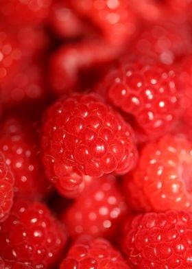 Fresh red berries close up