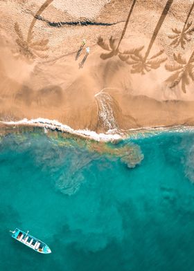 beach and coconut