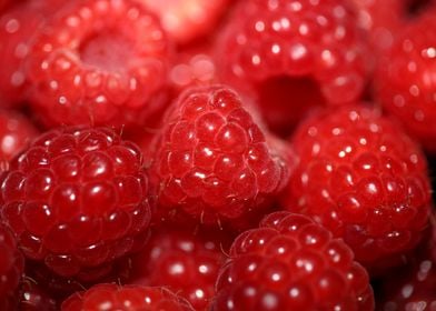 Fresh red berries close up