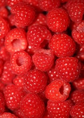 Fresh red berries close up