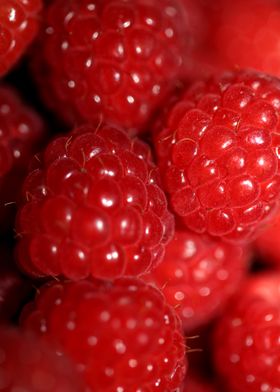 Fresh red berries close up