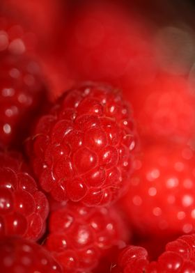 Fresh red berries close up