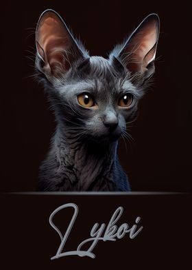 Lykoi Portrait